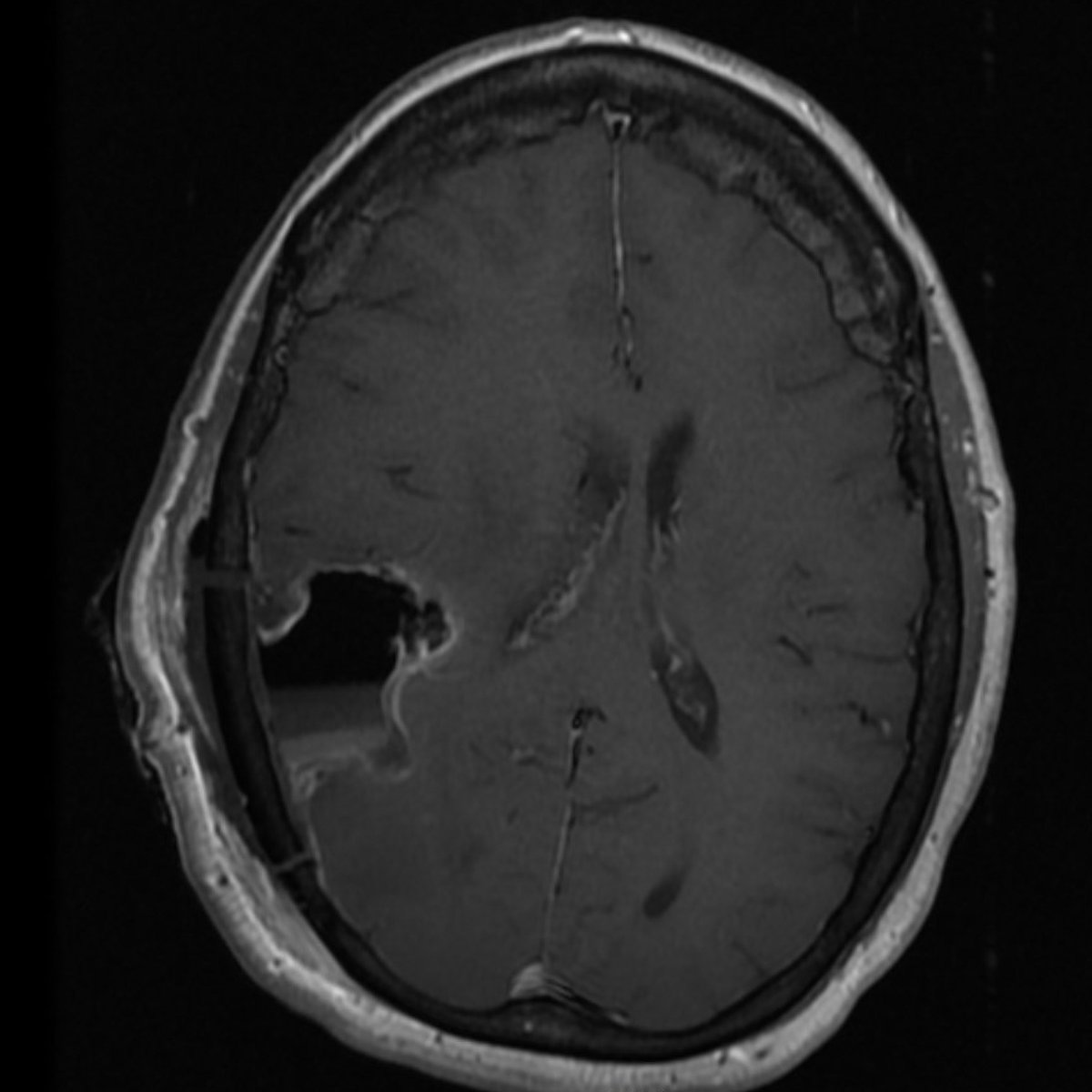 Jeffrey Hatef tweet media