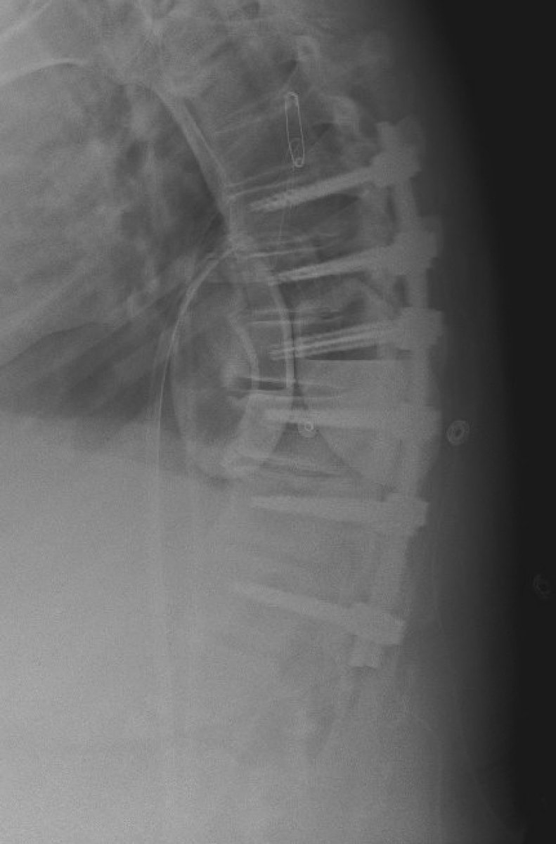 Jeffrey Hatef tweet media