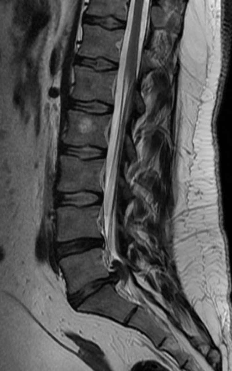 Jeffrey Hatef tweet media