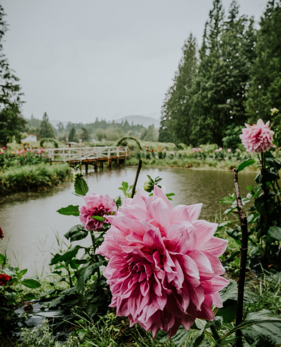 Still looking for things to do this weekend? Oh, you know the Tourism Mission team has you covered! 

Check out our most recent blog 'Your Guide to Labour Day Long Weekend in Mission, BC as well as our explore page for a fun-filled weekend. ✨