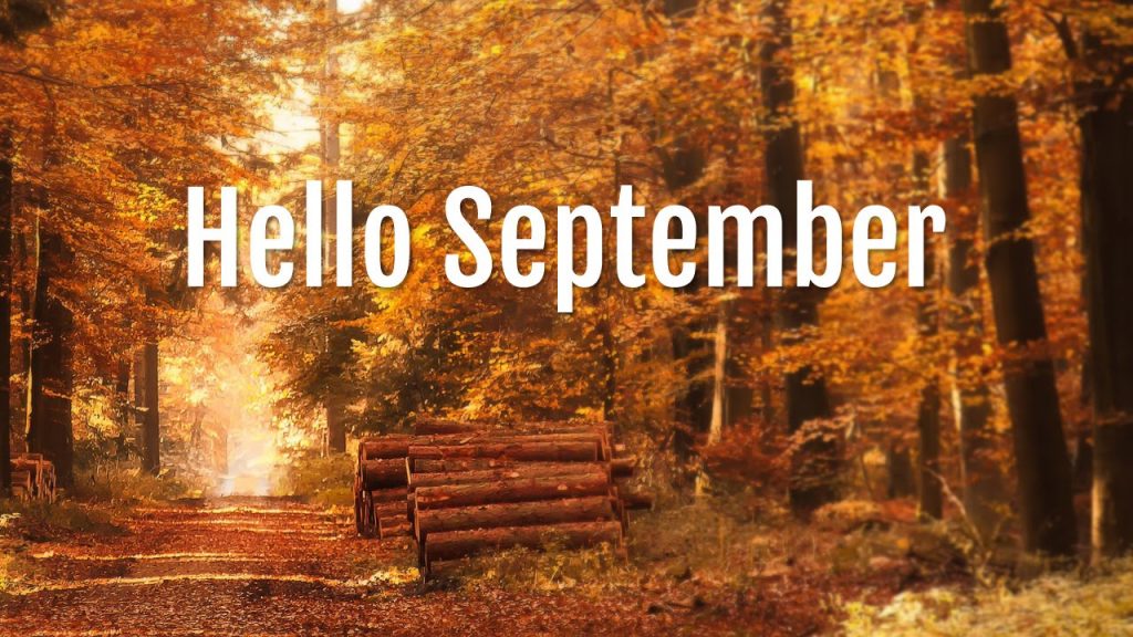 NeffieRae06's tweet photo. Hello September! Oh, how I've missed you. 

#september #readyforfall https://t.co/M6nxAS5r55