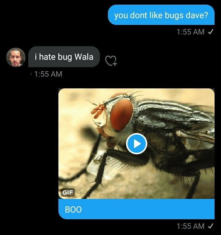 wallesaurusrex's tweet photo. old minaj supremacy gc texts; a little thread https://t.co/tmAsk4CkZc