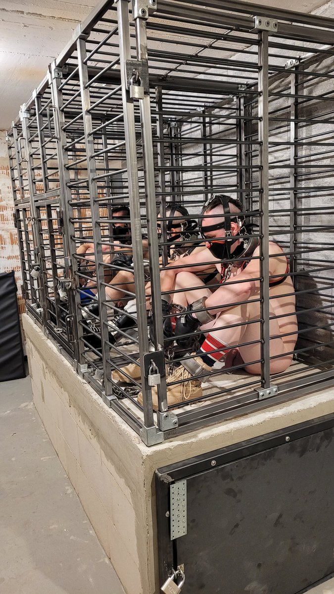 yohan555's tweet photo. Pre-Folsom play in progress and it is full house. Dragon testing the new cage system. Don't they look pretty helpless in there? All in metal and chains (@EvilTwoDragons and @WeaselBDSM) https://t.co/TAI5SzQhCo