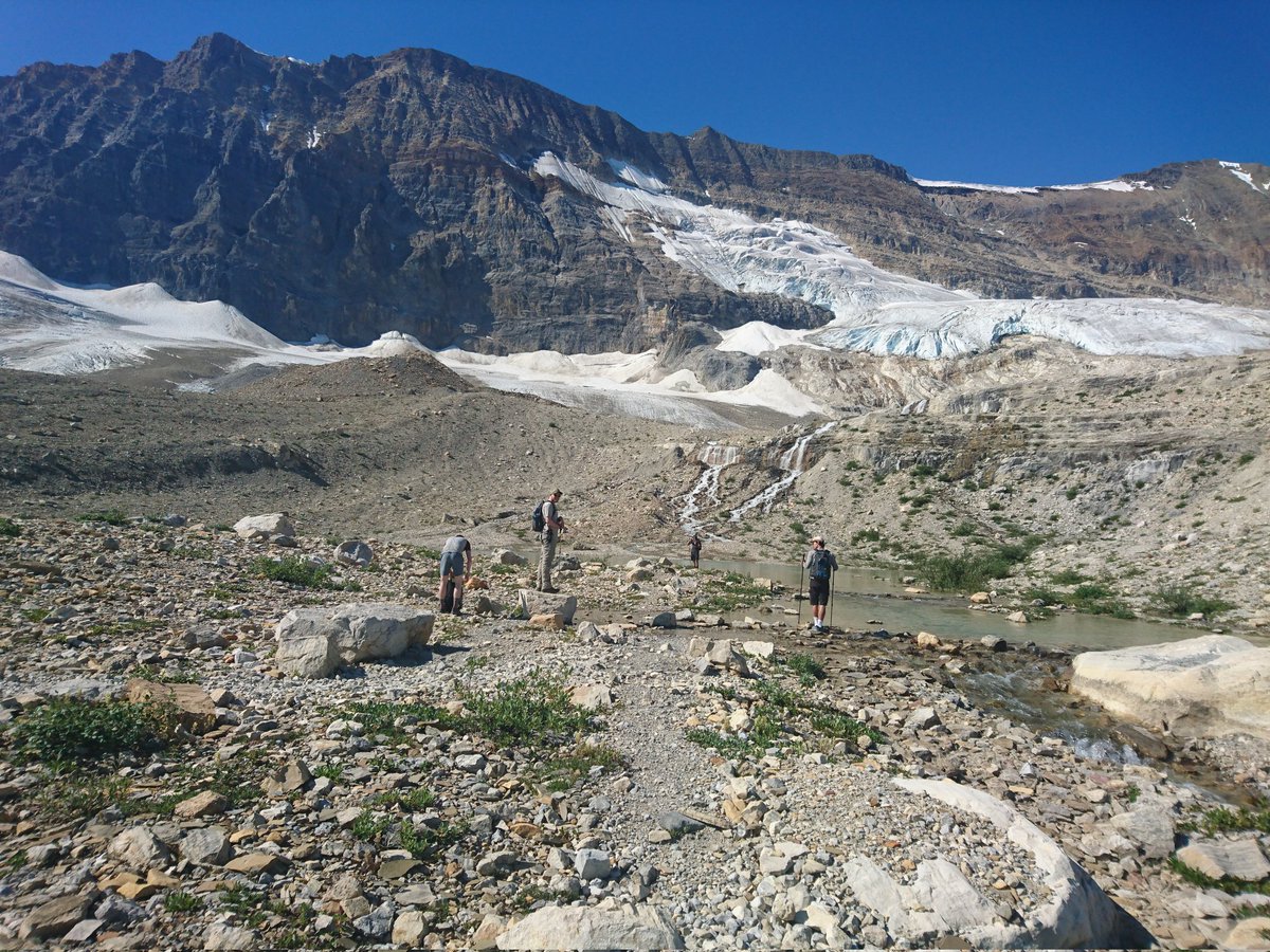ktbsievers's tweet image. It's good to see the younger fellas in the BSc physics pursuit (juniors of mine in Calgary). 

📍Iceline loop, Fields BC