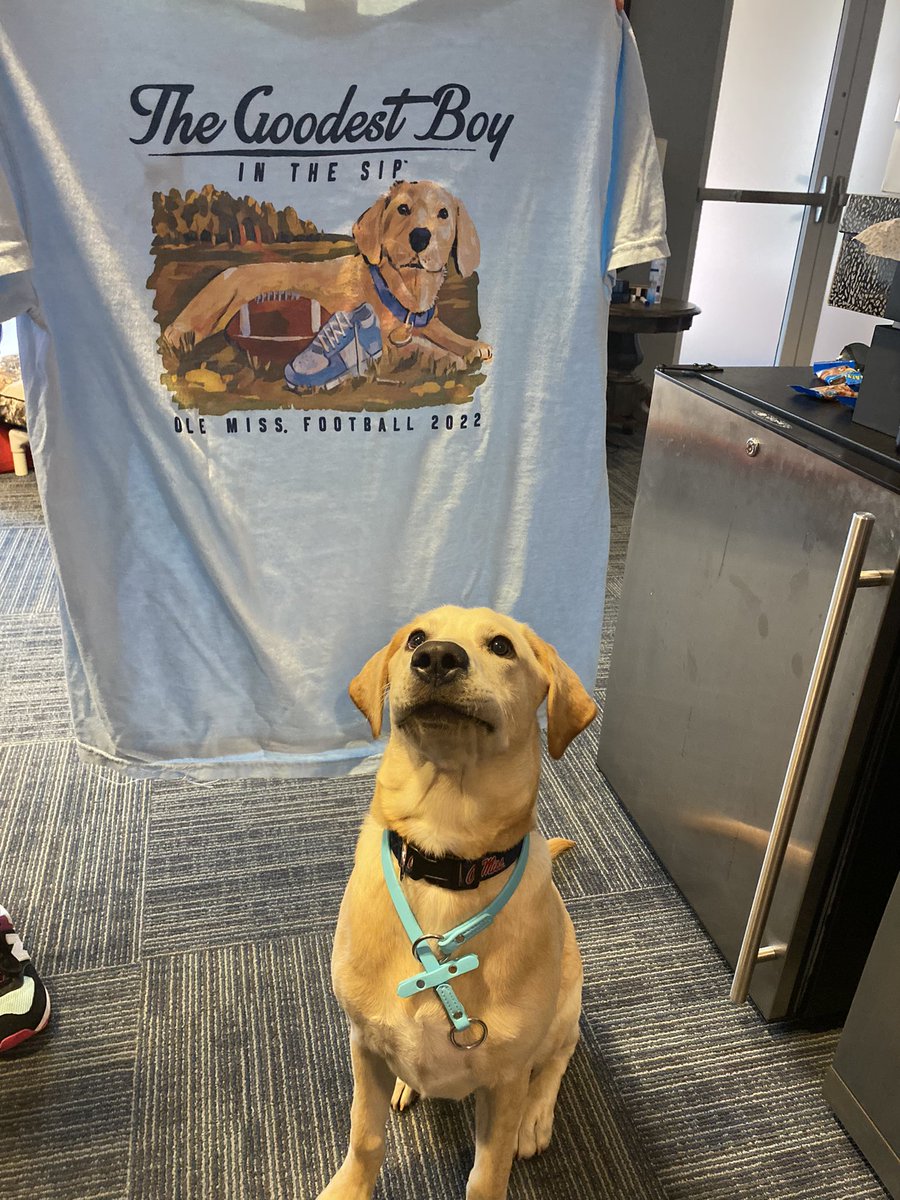wildrosekennels's tweet photo. Looks like @JuiceKiffin is trending around Oxford!! @OleMissFB @OleMissInk @OleMissPix #gentlemansgundog #dontfeedjuice https://t.co/FcROSbncog