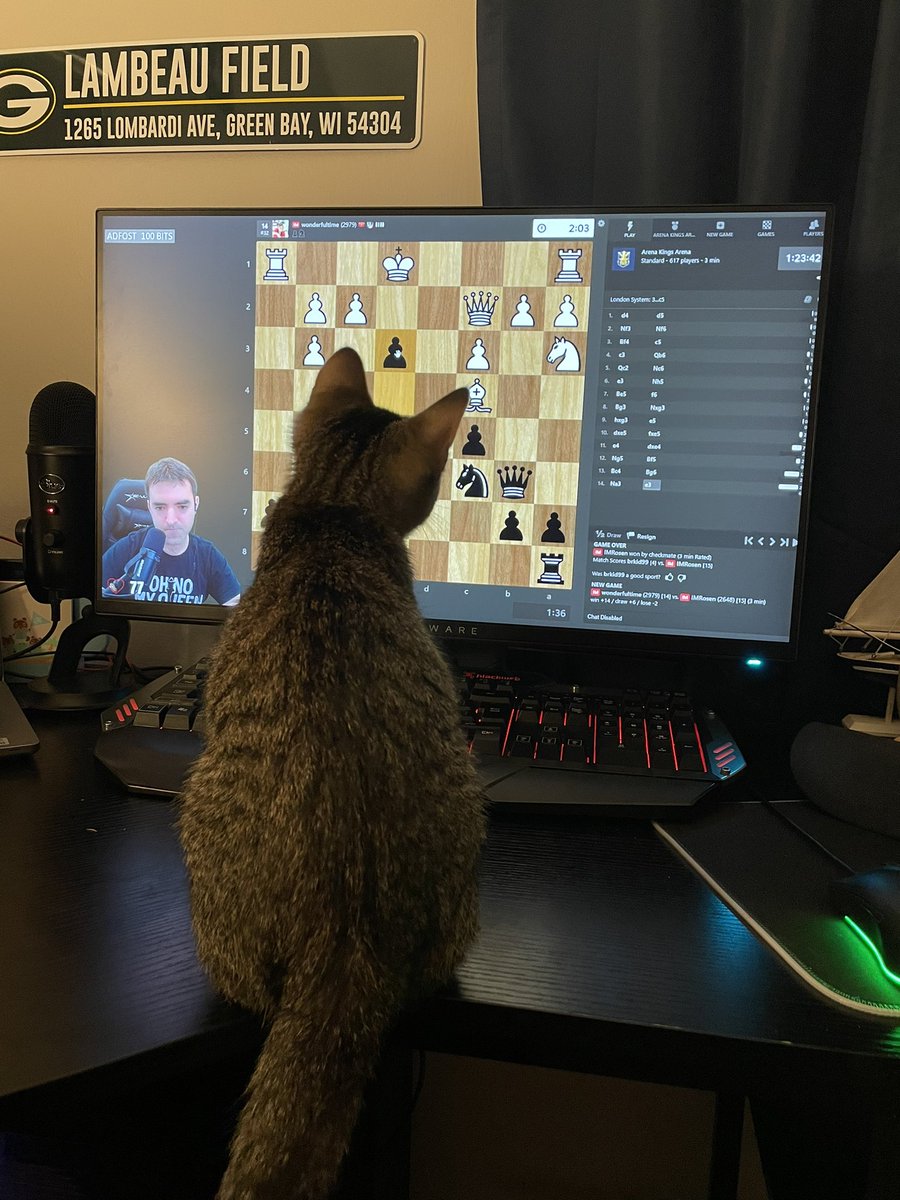 DavidRebowo's tweet photo. new kitten today :) no name yet but he likes looking out windows and watching @IM_Rosen. poor Cannoli is having a hard time adjusting but he’ll get there https://t.co/FldX8GBU9X
