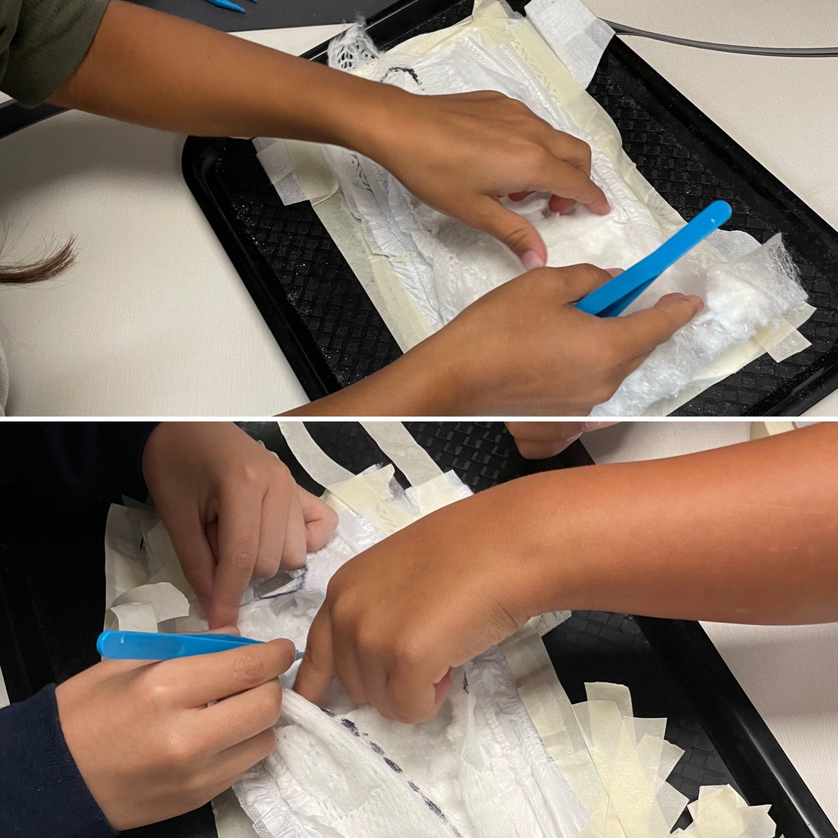 mrsmegwalker tweet media