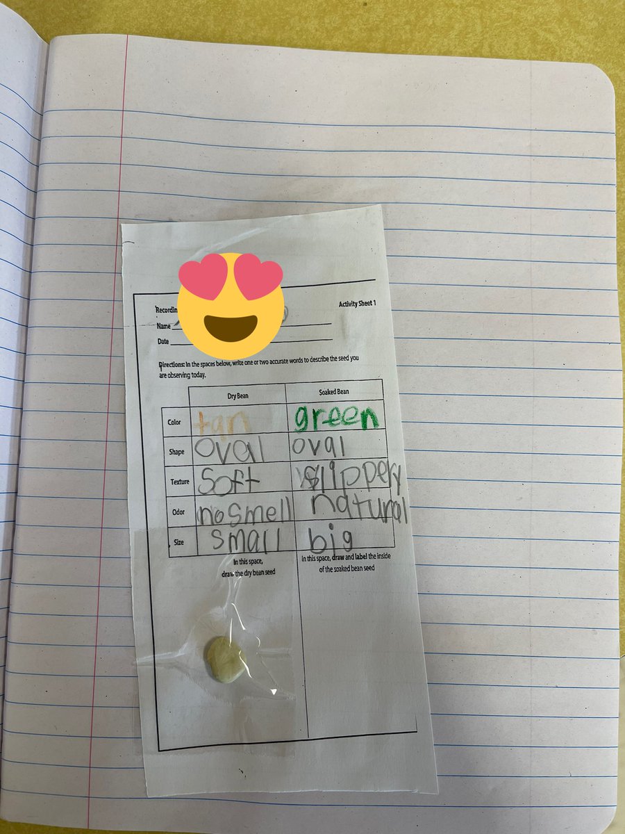Abbie_Murray2's tweet photo. We got into bean seed observations today. We are so excited for next week to start our planting! #amstiforall #amsti22 @amstiuna #secondgradescience https://t.co/xsx3Sx8x5w