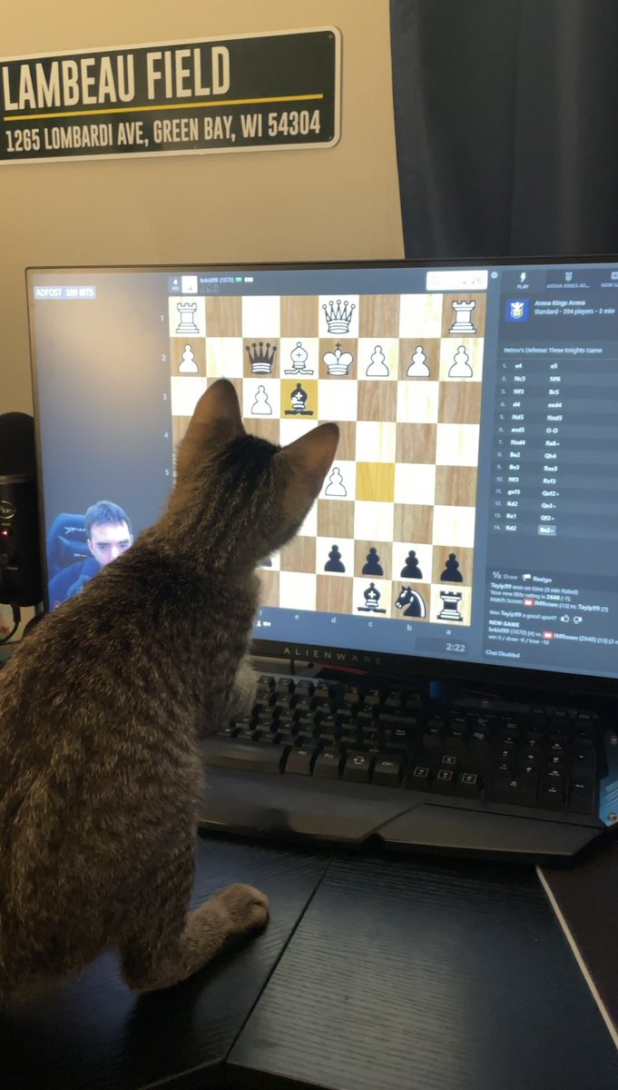 DavidRebowo's tweet photo. they’ll bond over their love of chess content https://t.co/Z799nieXwZ