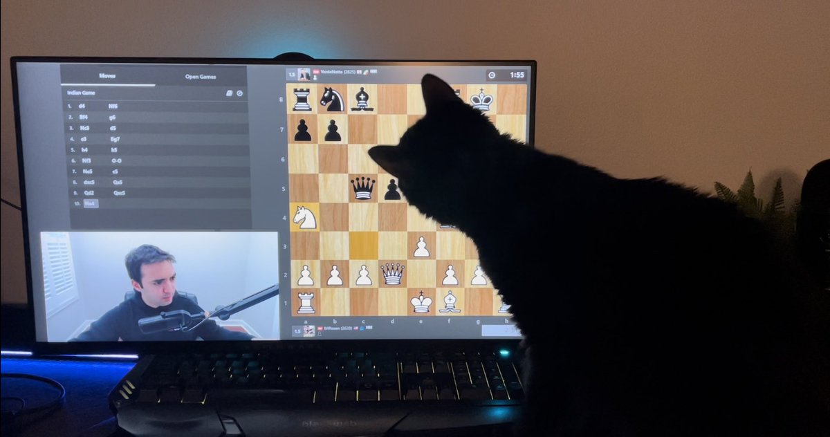 DavidRebowo's tweet photo. they’ll bond over their love of chess content https://t.co/Z799nieXwZ