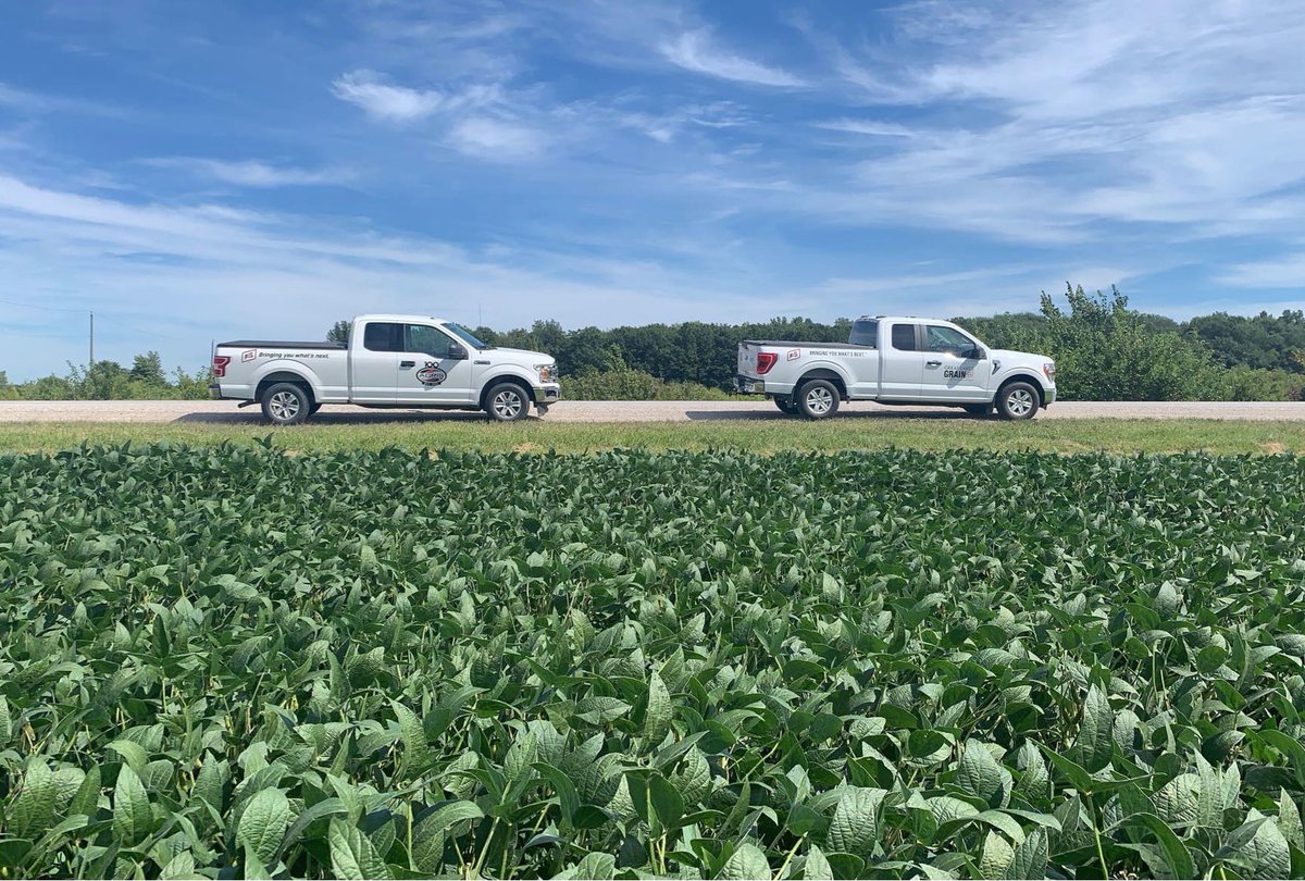 Jessica_Roelofs's tweet photo. #GLGTour2022 in Essex County with @ConnorGLG… Very different crop maturity stages in the fields across the trading area https://t.co/gvwV0KpIYL