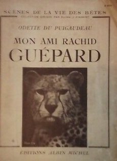 GemaAhmedou's tweet photo. هذا الفهد رافق السيدة أوديت (Odette du Puigaudeau )أثناء إحدى رحلاتها الطوال عبر الصحاري الموريتانية  وكان عنوان كتابها الصادر ١٩٤٨ تحت عنوان : صديقي الرشيد الفهد ، والصورتان إحداهما بتحكجة والأخرى بولاتة . https://t.co/hf6QBmf2LQ