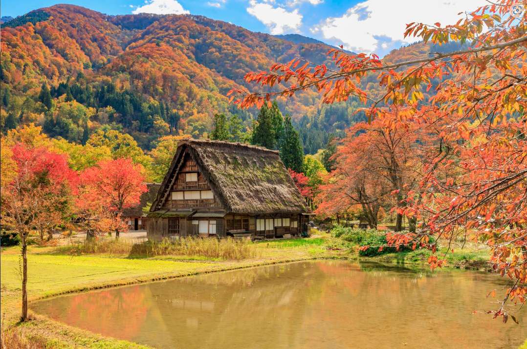 GKTT9iumTjdTnjp's tweet photo. ＜日本の秋の風景－１＞
あきになると、紅葉がきれいです。 https://t.co/U38c4WMCil