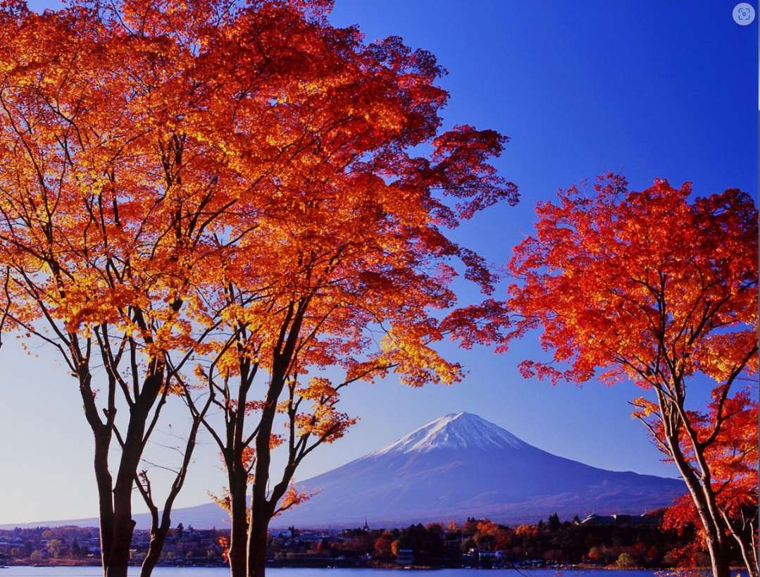 GKTT9iumTjdTnjp's tweet photo. ＜日本の秋の風景－１＞
あきになると、紅葉がきれいです。 https://t.co/U38c4WMCil