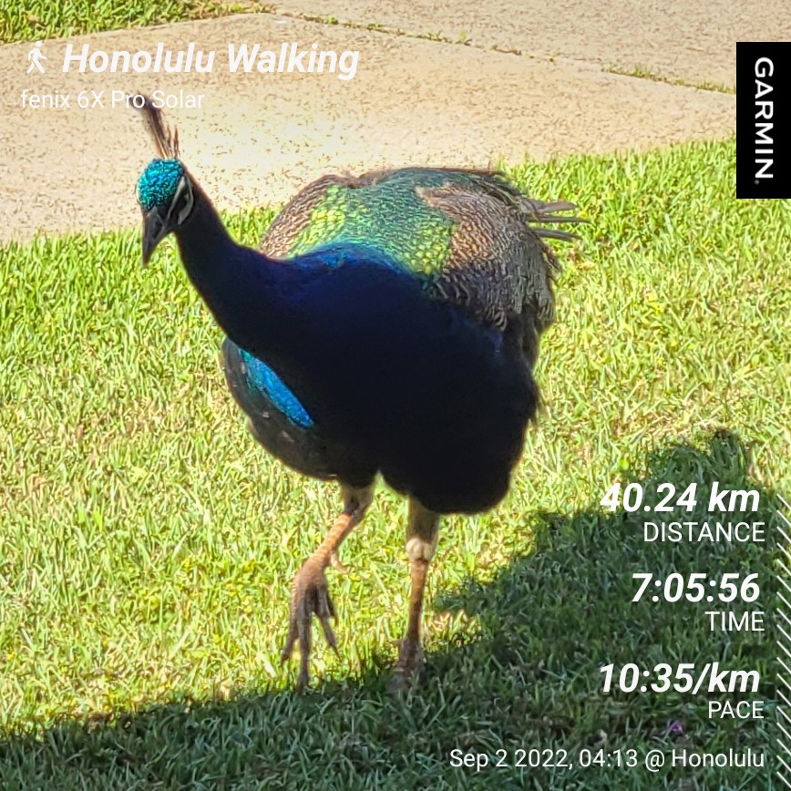 SlimV1's tweet photo. Just gonna keep it short...

Though it seems as if my fitness journey stalled it is still going... I have 1 more of these to do and yes it sucks.

The distance is equal to 25 miles https://t.co/3vMCs4w66l