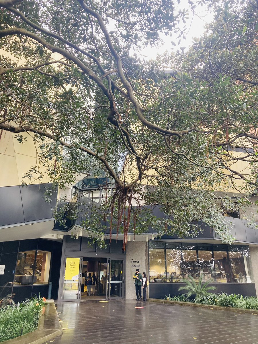 UNSWLaw's tweet photo. Fantastic to see the next generation of @unsw Law & Justice students on campus today for UNSW Open Day! #unswopenday #unswlaw https://t.co/dZApElLXeR