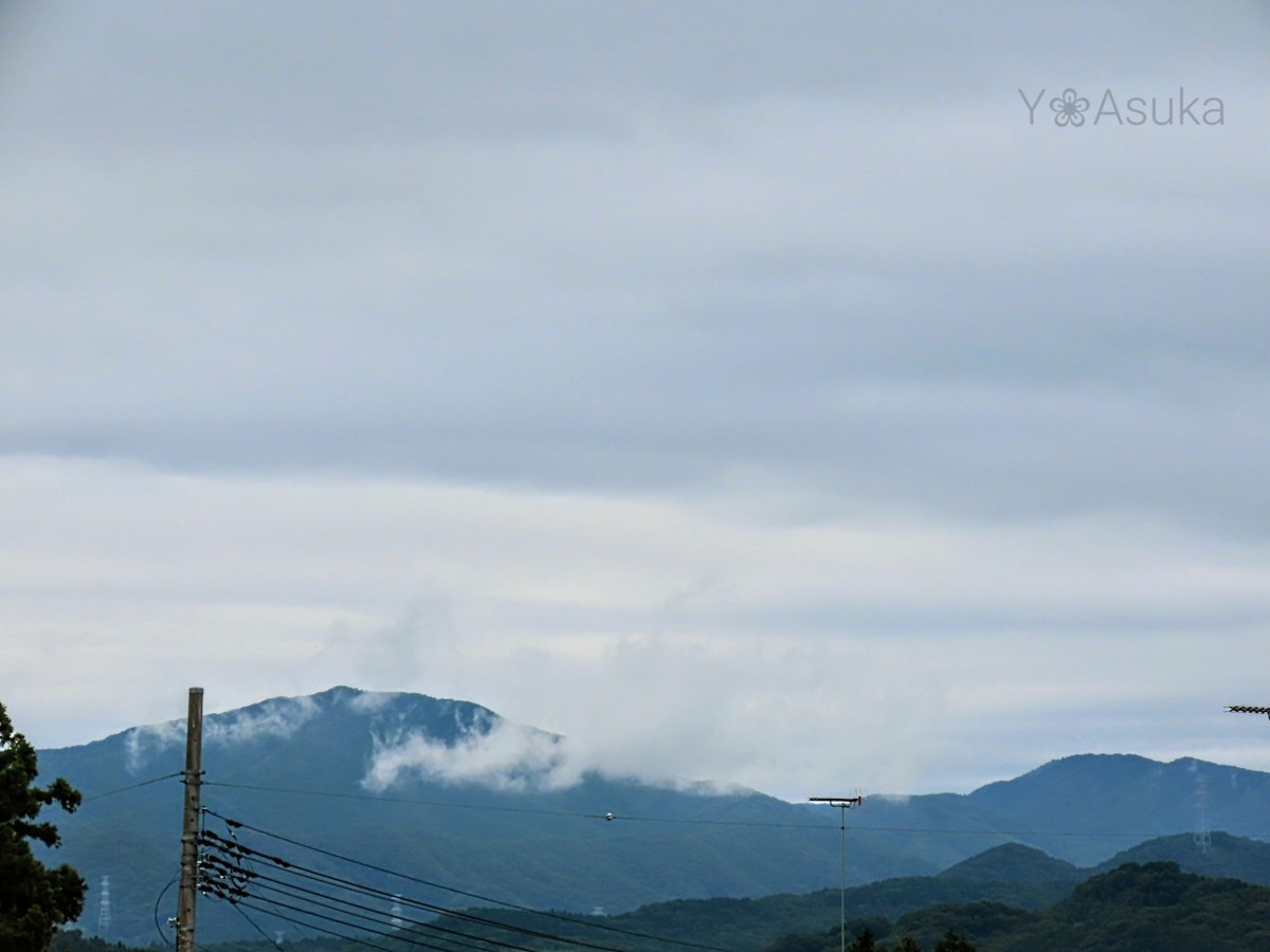 yumeasutw's tweet photo. 空一面 #高層雲 が広がりどんより #曇り空 の土曜日の朝☁️
山を立ち昇る #霧雲 がフワァ⛰️

予想最高/最低気温🌡️27℃/21℃
曇り☁️
湿度が高く少し蒸し暑い体感。
俄か雨に御用心。

#空の名前
#雲の教室
#天気の図鑑 #雲友の会
#マリーゴールド #庭花 #花 #Flower
#a2022 #a0903 #a202209 #a2022091 https://t.co/DRMPYLyrXP