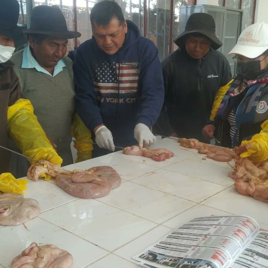@INIAFBolivia - MDRyT tweet media