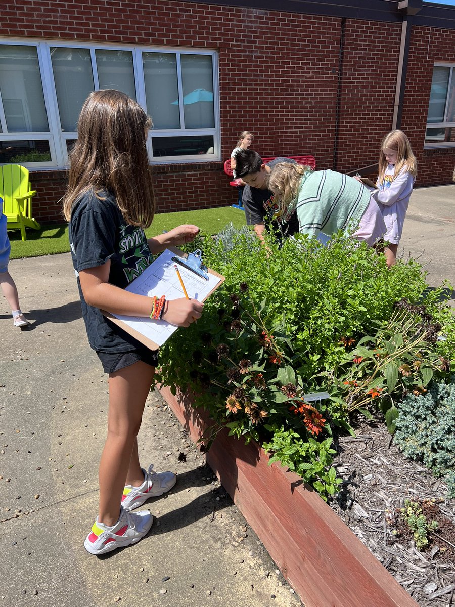 Hensley5thgrade's tweet photo. It was a perfect day to practice making qualitative and quantitative observations in the sensory garden! @S_Greenfield7 @Meyer1Abbey @MapleWarriors #warriorscreate https://t.co/Kh1lOK5cb6