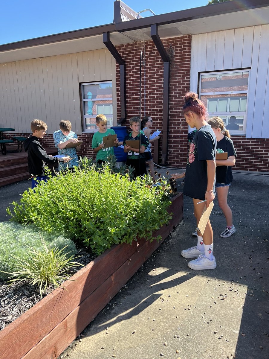 Hensley5thgrade's tweet photo. It was a perfect day to practice making qualitative and quantitative observations in the sensory garden! @S_Greenfield7 @Meyer1Abbey @MapleWarriors #warriorscreate https://t.co/Kh1lOK5cb6