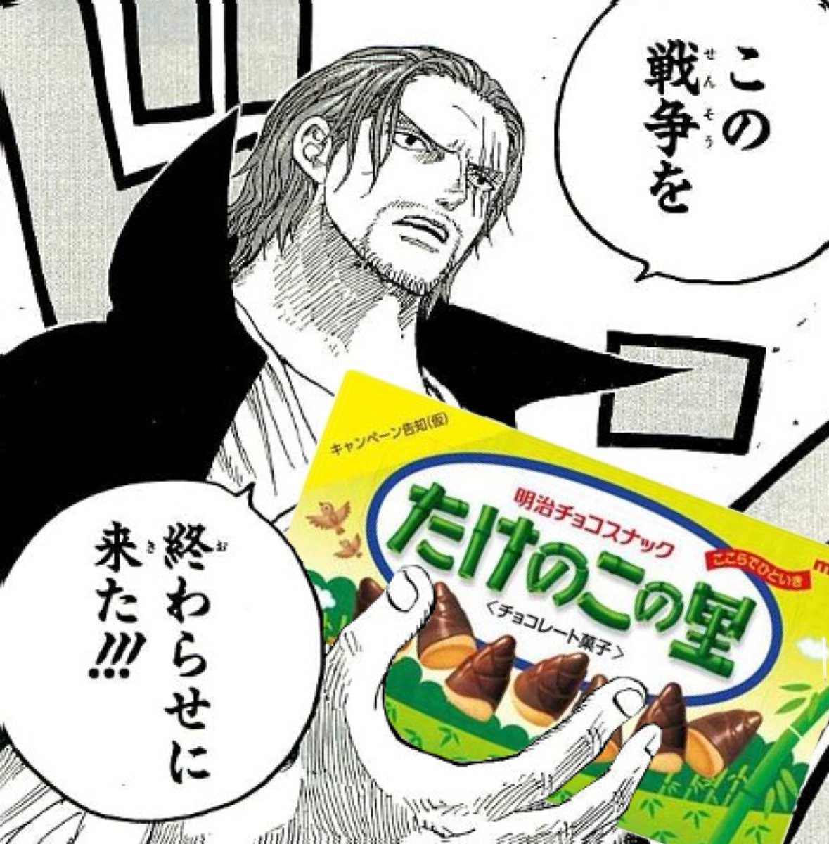 この 戦争 を 終わら せ に 来 た