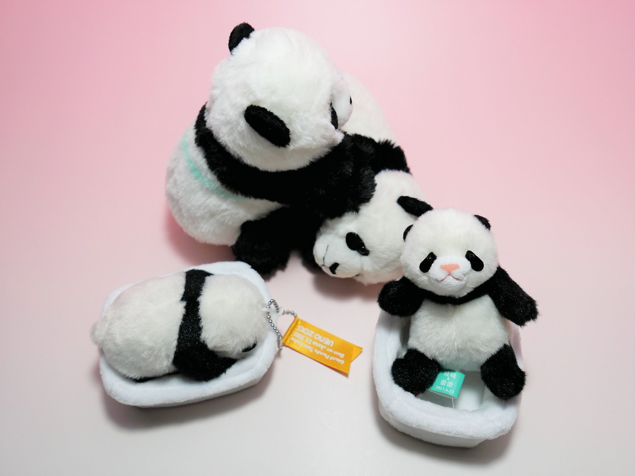 れいれいです。 FbsTvUvUIAA8hrw.jpg:large