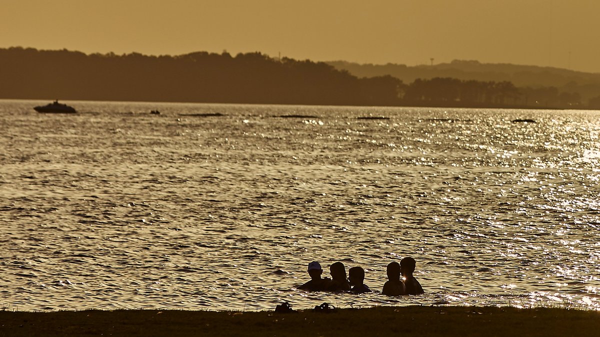 Adventure Road tweet media