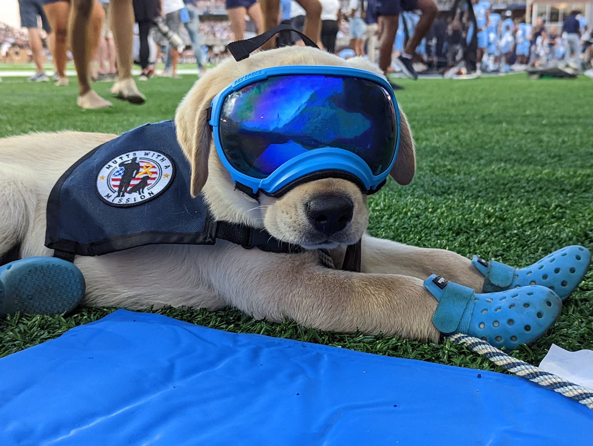 Old Dominion’s dog is the cutest pup in the world