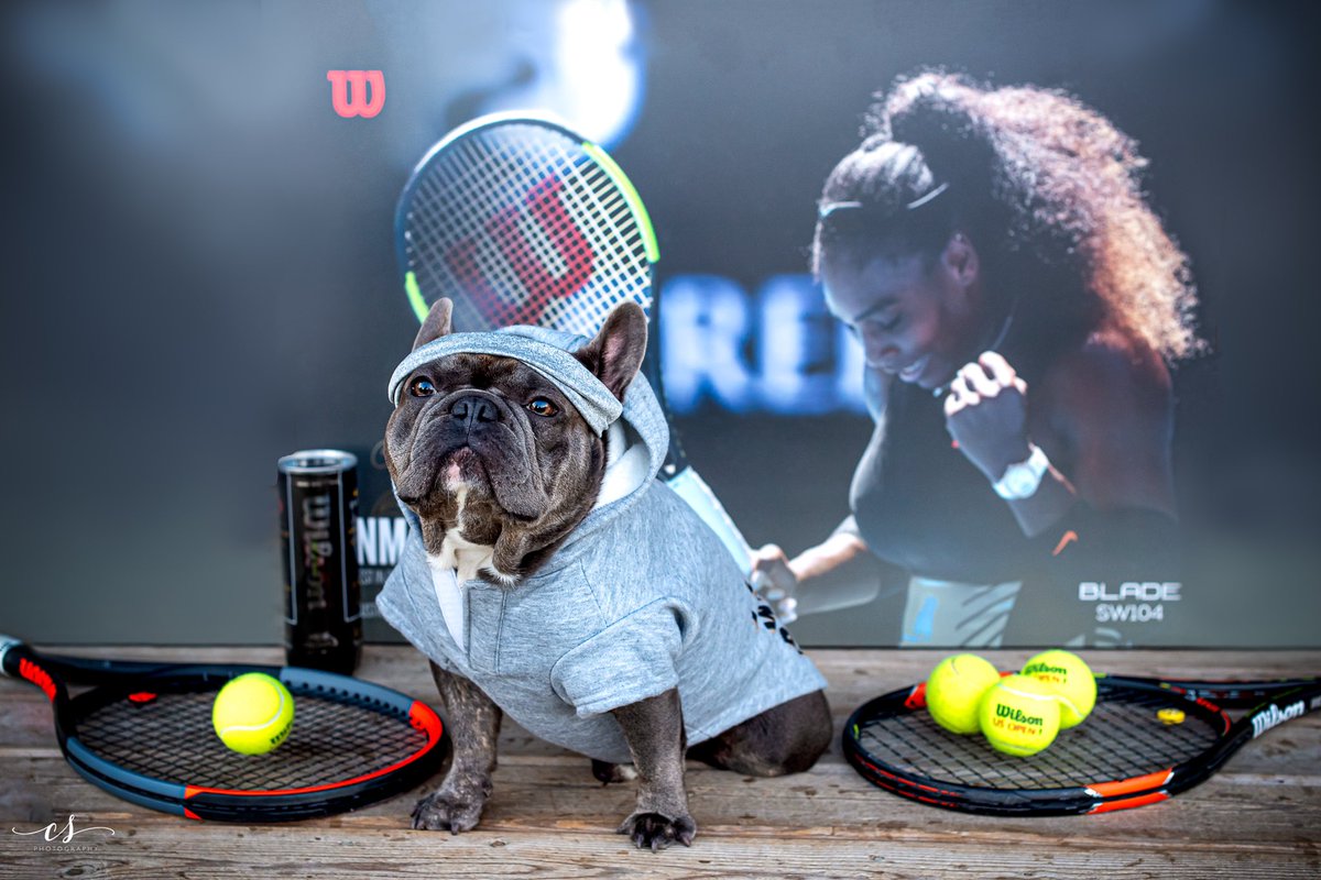janik_trish's tweet photo. Cmon @serenawilliams !!!
#TwirlForSerena #SerenaWilliams #usopen #ThankYouSerena https://t.co/NdJgVE538C
