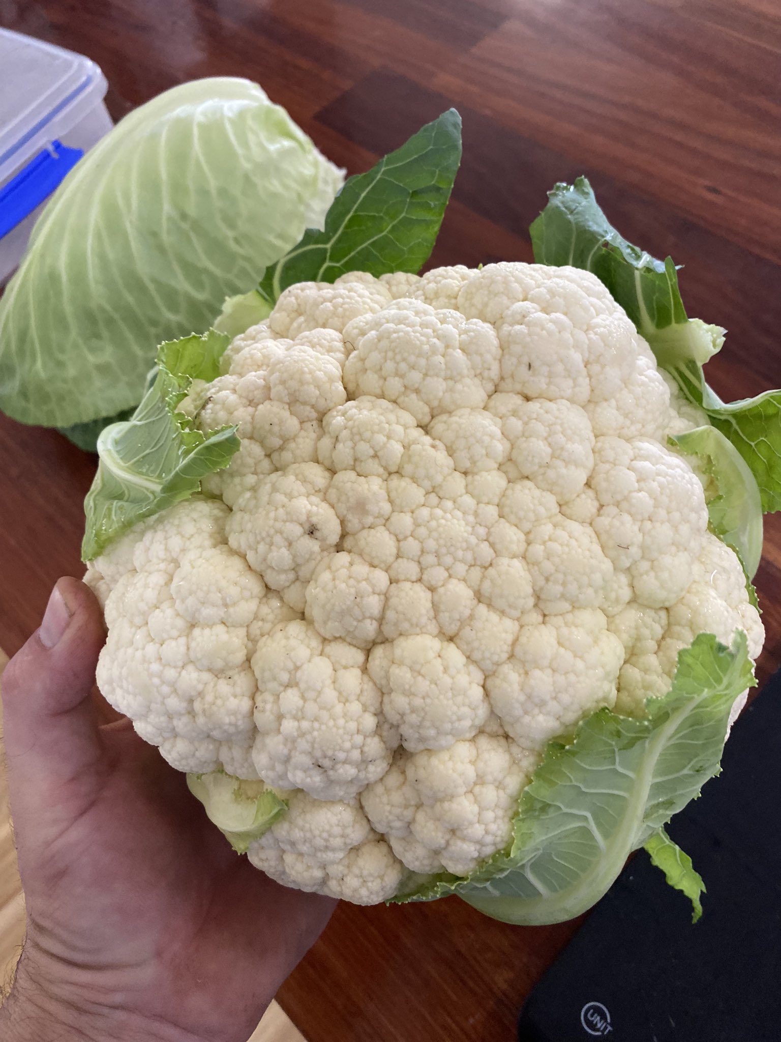 Adam Coffey on Twitter "Ok getting sick of cauliflower now. I have