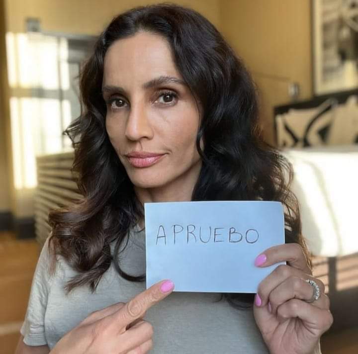 Iván Azul Boric Floyd 🌳 tweet media