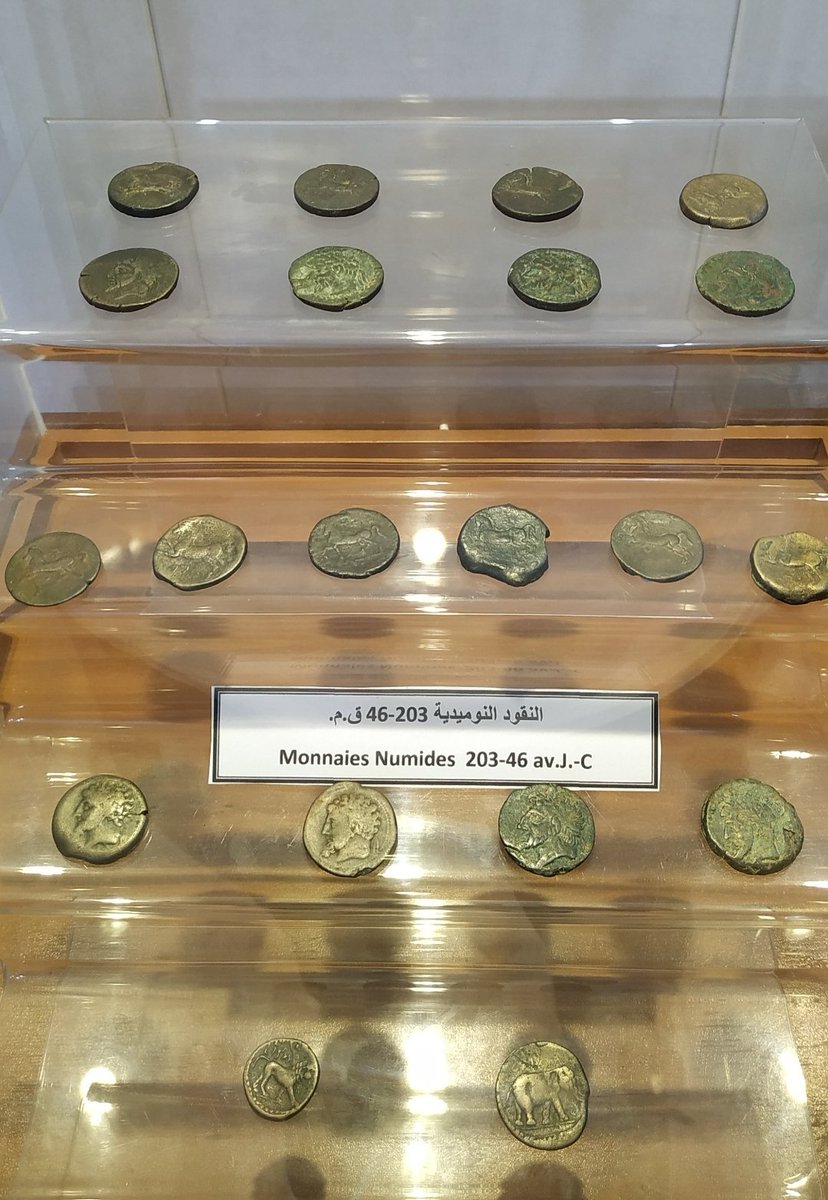 maelassal's tweet photo. Monnaie Numide, la #Numidie (actuelle #Algérie) de 203 avant J.-C à 46 av J.-C, il s'étendait de oued Moulouya à l'ouest jusqu'à la Tripolitaine à l'Est. Ses rois les plus célèbres: #Syphax, #Massinissa, #Micipsa, #Jugurtha, #Juba..etc, Sa capitale Cirta #Constantine
#الجزائر https://t.co/YSpISHcw7U