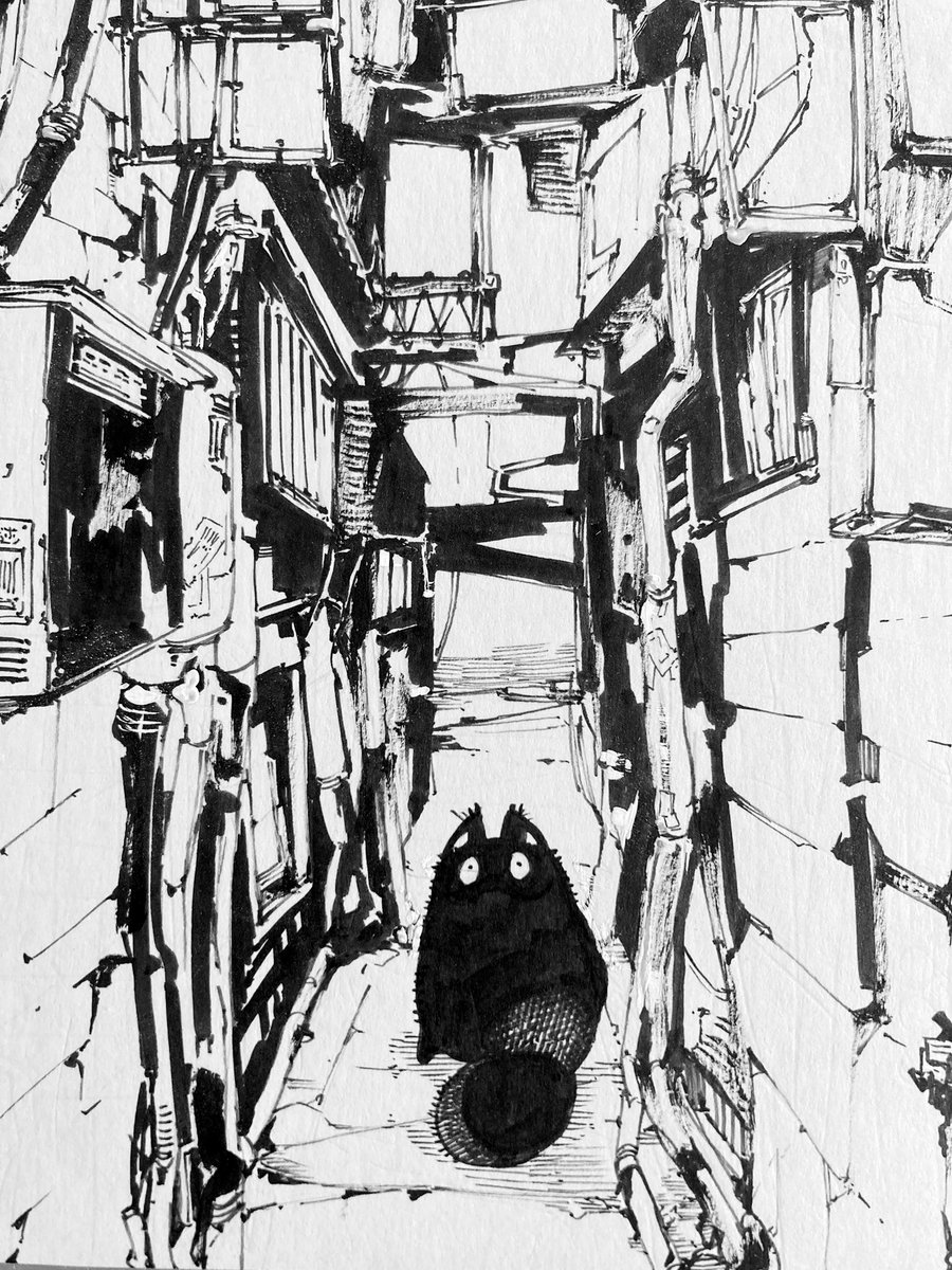 謎ネコと路地裏 