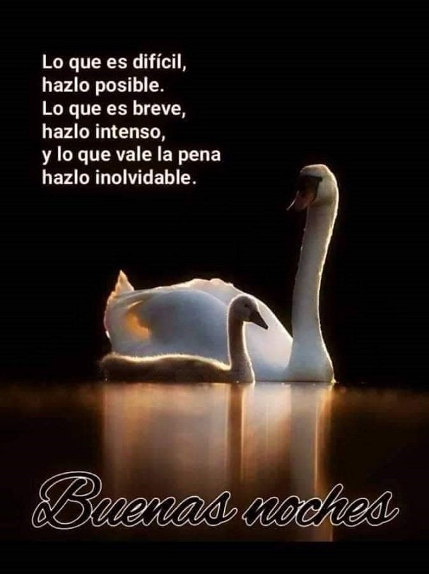 Muy buen descanso y un buen día 🙏🙏😴😴