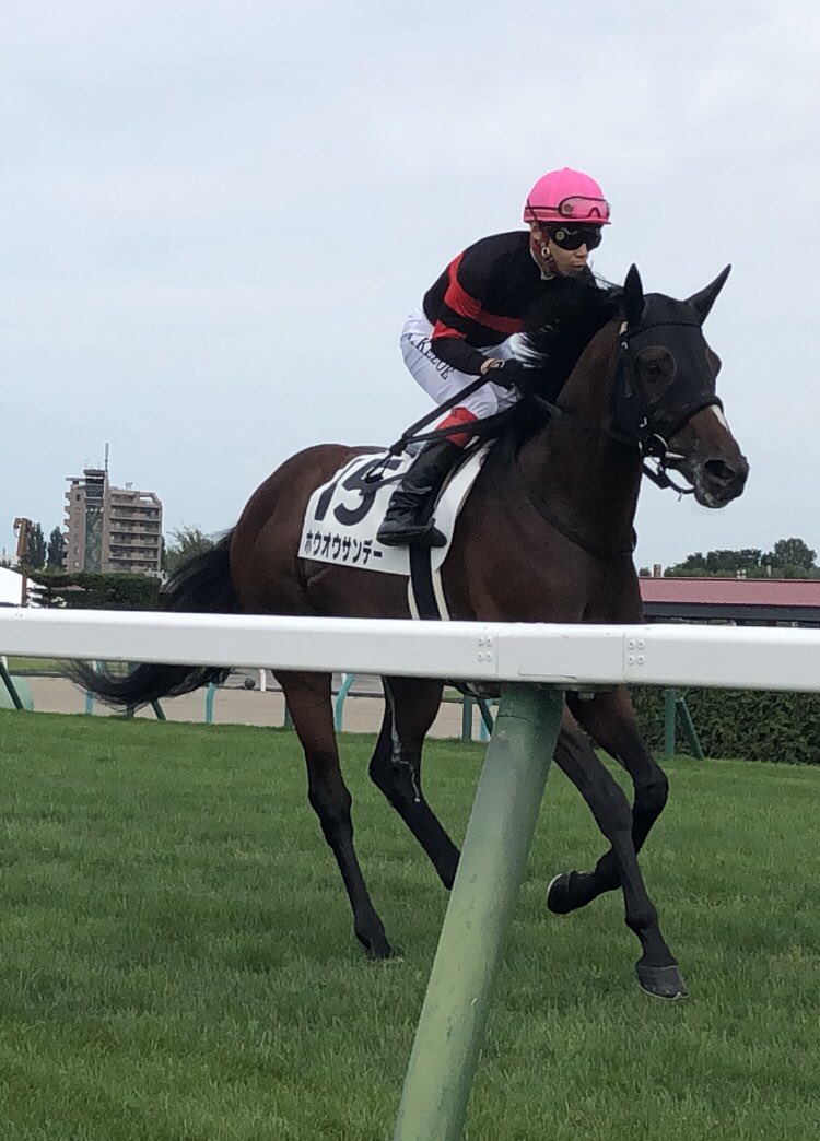 え待って、ホウオウサンデー3着で2030円もついてた、
謙ちゃんお小遣いありがとう☺️🙏✨