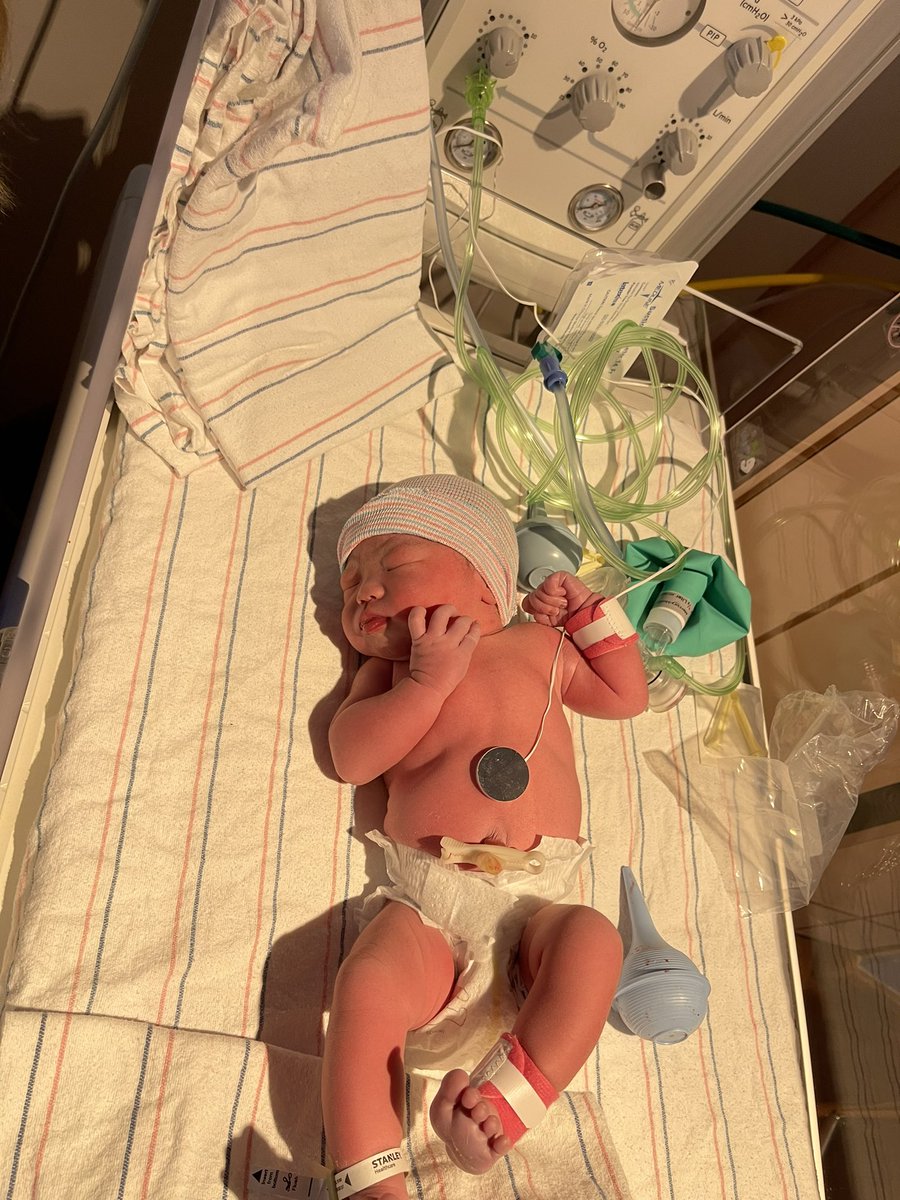 Ming "Tommy" Tang tweet media