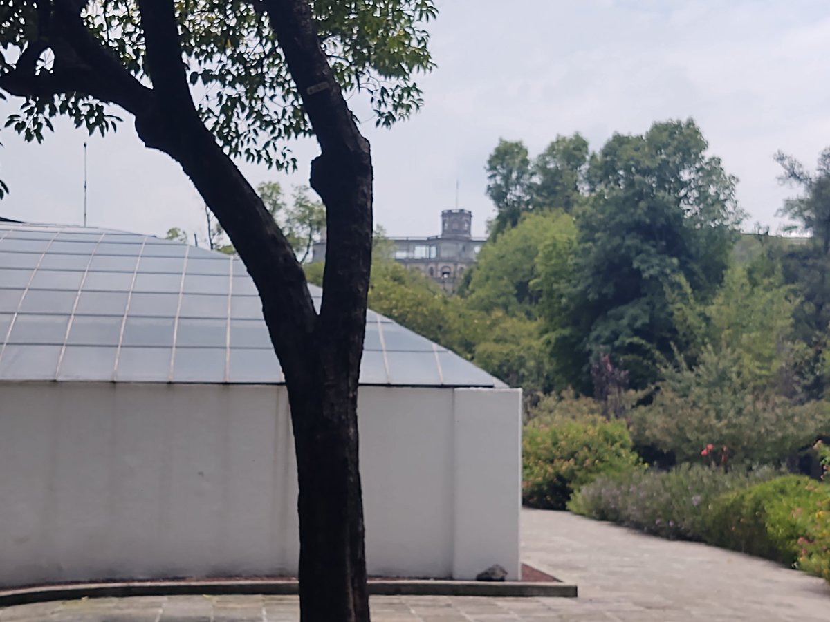 Salvemos Jardín Botánico y Orquidiario Chapultepec tweet media