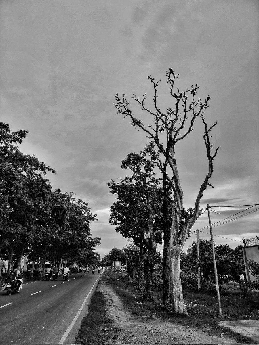 AmartyaKumar7's tweet photo. @NikonUSA https://t.co/M4VajsGZNG