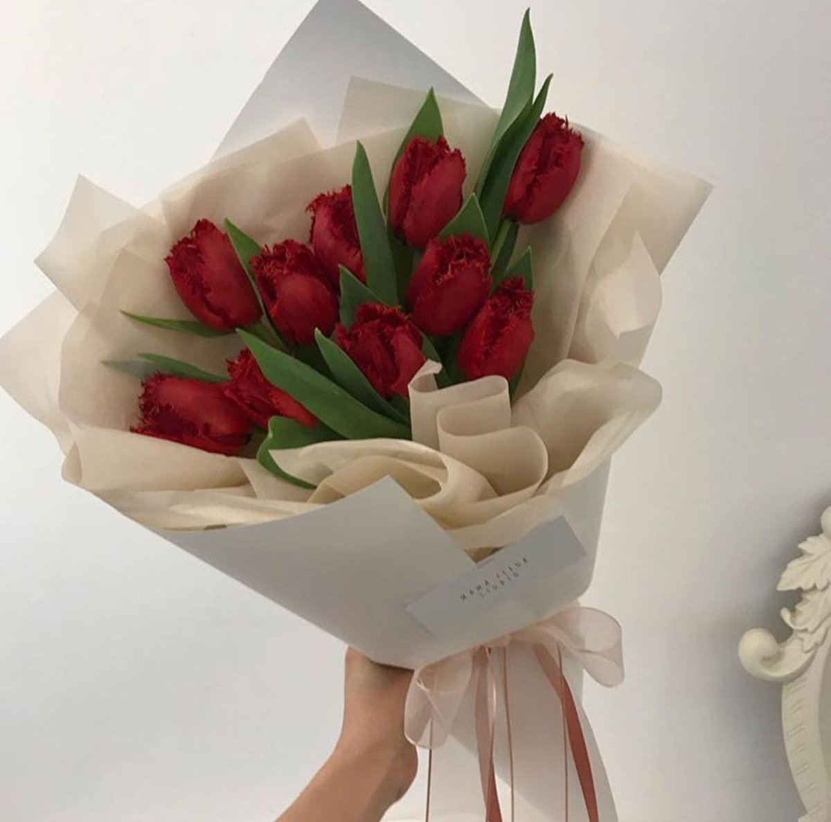 EnhyFlowers's tweet photo. ೃ⁀➷ someone sent you a message!

to : @malungcat_ 
from : :)

💌: i love you

🎶: Captivated by IVOS https://t.co/iEgIQqYFqH