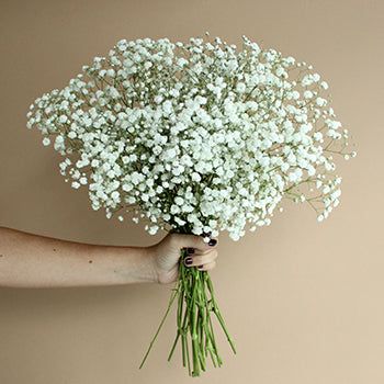 EnhyFlowers's tweet photo. ೃ⁀➷ someone sent you a message!

to : @filmbyjw 
from : <3

💌: hi cha, thank you for existing! you did so well, i'm so proud of you. CHEER UP!!

🎶: Umaasa by CALEIN https://t.co/ITq5lhOtc5