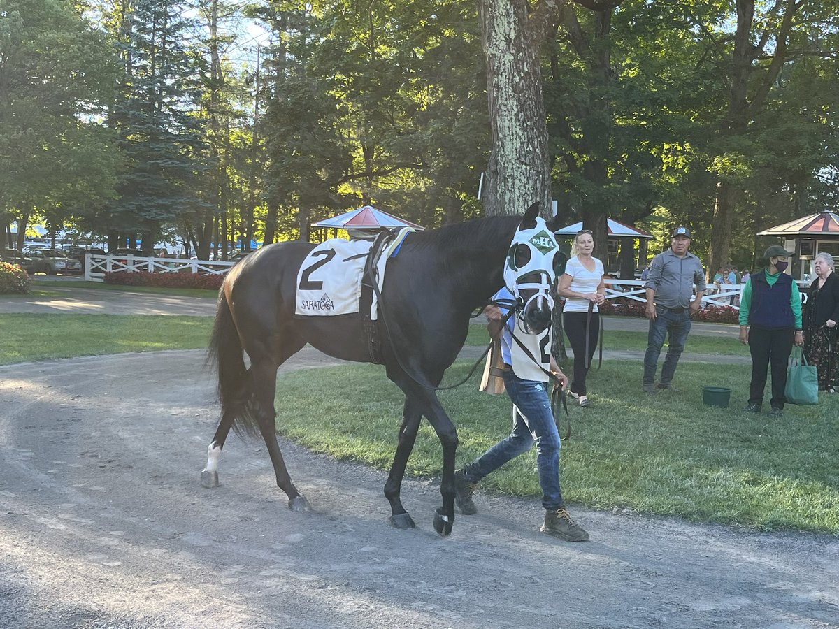 LBBStables's tweet photo. Do we want this guy to break his maiden soon? Of course. Did he cost @stoolpresidente quite a few bucks with his nose loss for 2nd? Yes, we’ll have a word with him about that. He just doesn’t quit, tries every time - and we love him for that. #Excursionniste https://t.co/88JSNquTnm