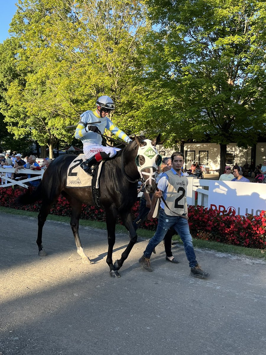 LBBStables's tweet photo. Do we want this guy to break his maiden soon? Of course. Did he cost @stoolpresidente quite a few bucks with his nose loss for 2nd? Yes, we’ll have a word with him about that. He just doesn’t quit, tries every time - and we love him for that. #Excursionniste https://t.co/88JSNquTnm