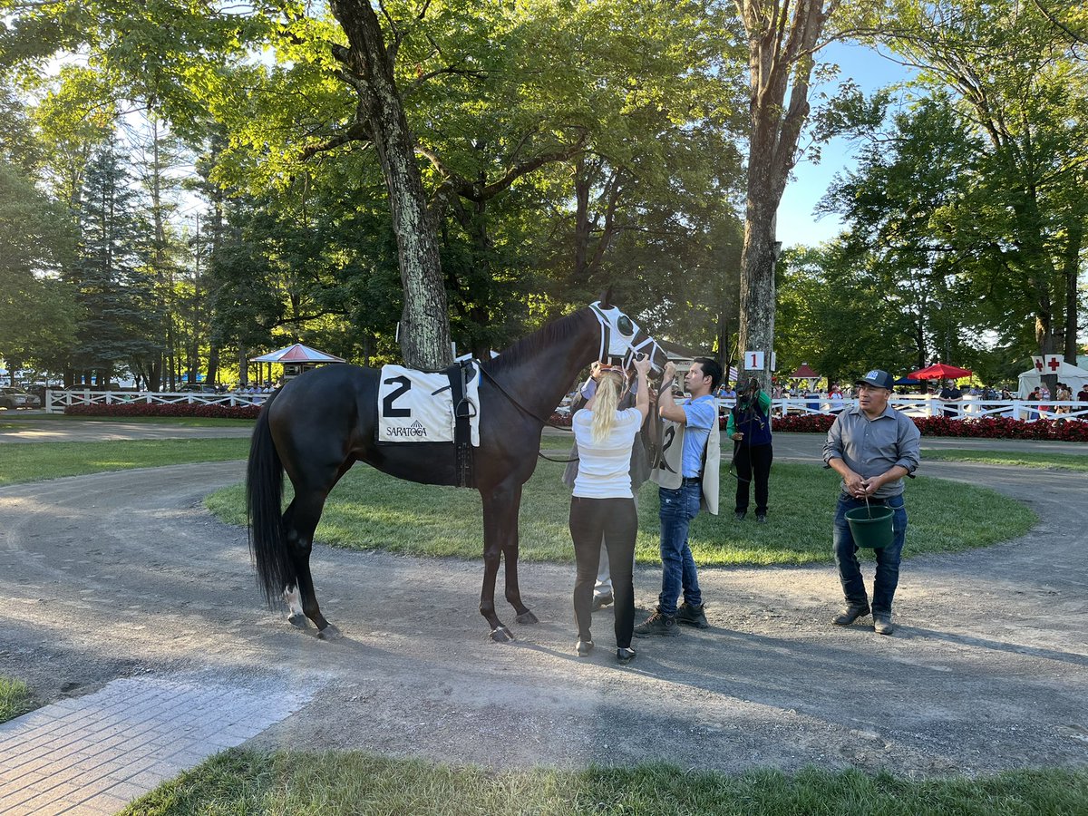 LBBStables's tweet photo. Do we want this guy to break his maiden soon? Of course. Did he cost @stoolpresidente quite a few bucks with his nose loss for 2nd? Yes, we’ll have a word with him about that. He just doesn’t quit, tries every time - and we love him for that. #Excursionniste https://t.co/88JSNquTnm