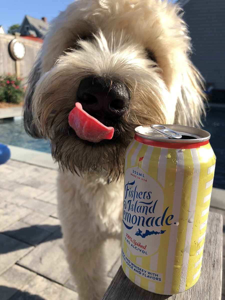 <a href="/mjsully123/">Michael Sullivan</a> <a href="/ZBTurf411/">Zach Bauer, CGCS</a> <a href="/TurfTastingTeam/">Turfhead Tasting Team</a> Been a couple of years for me too. <a href="/FILemonade/">Fishers Island Lemonade</a>