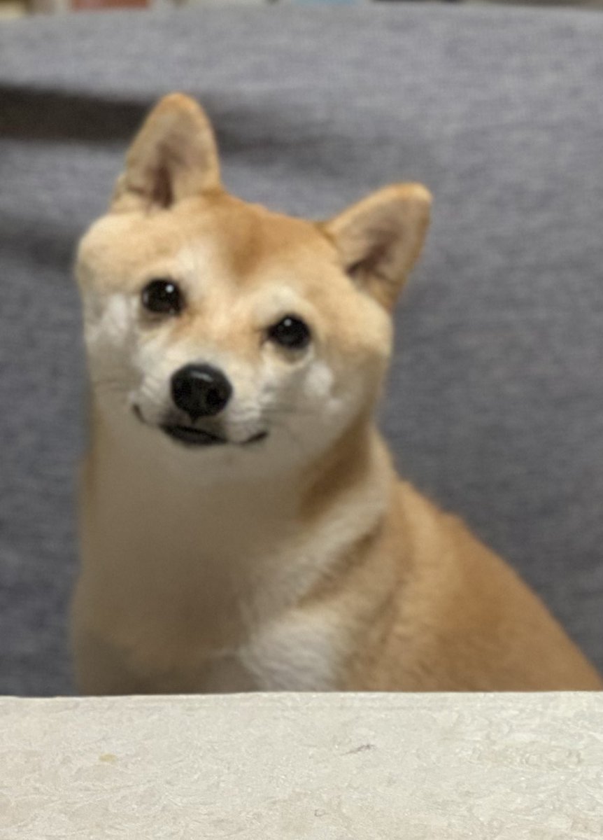 ペンタゴンきなお🥹💞