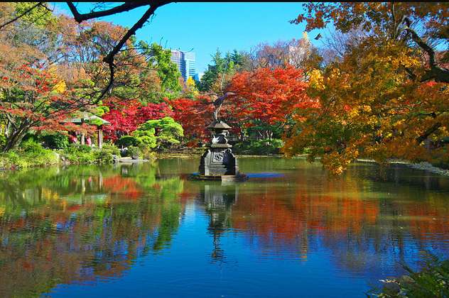 GKTT9iumTjdTnjp's tweet photo. ＜日本の秋の風景－３＞
秋になると、紅葉がきれいです。 https://t.co/ANYbslbb2H