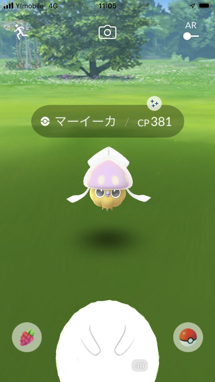 Haruuu 低浮上 Haruuuu Twitter