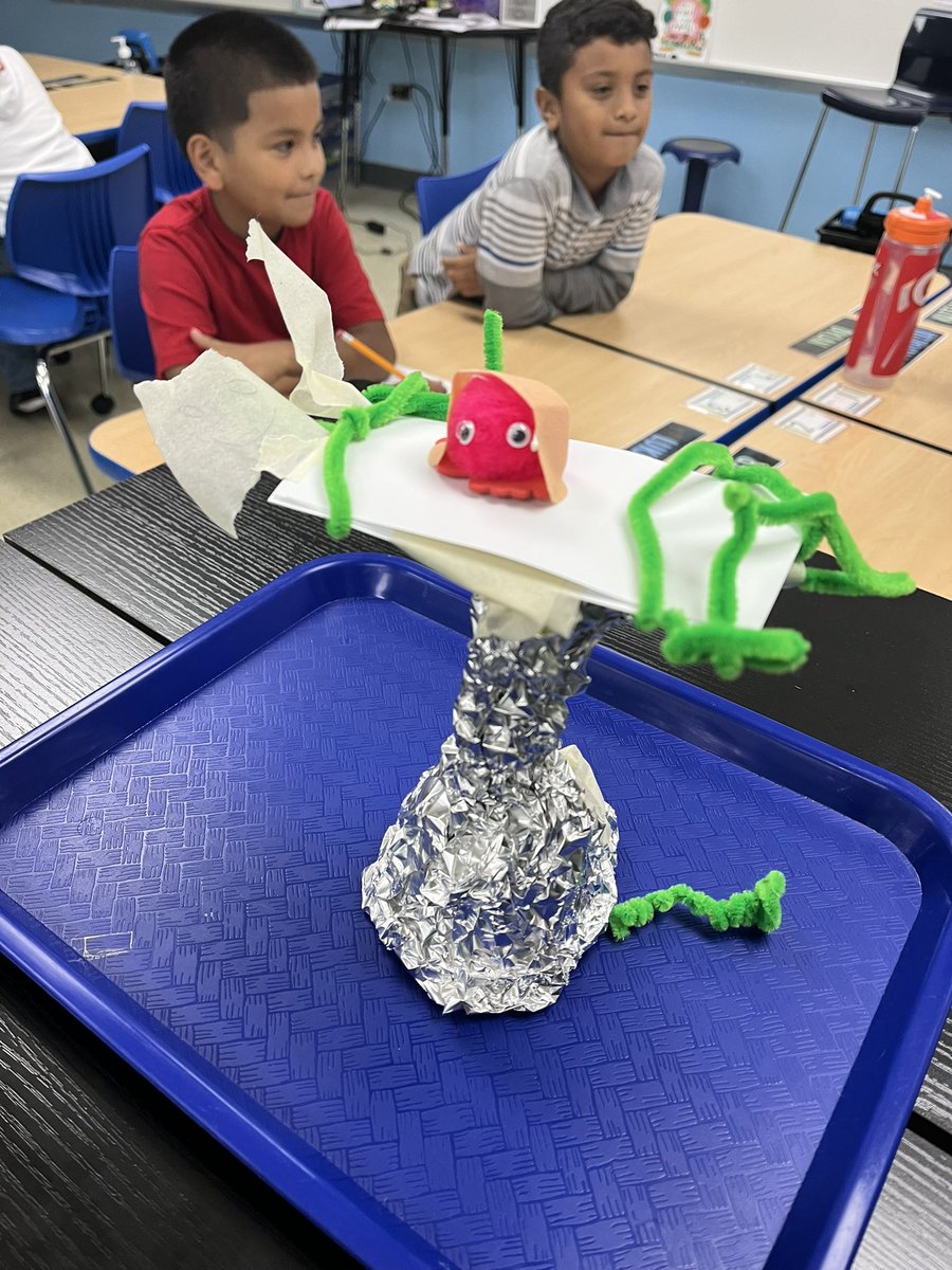 Help Harry!! Ss reviewed the Science and Engineering Practices to help Harry by designing a safe and tall perch for him to hang out on. #wdsd7