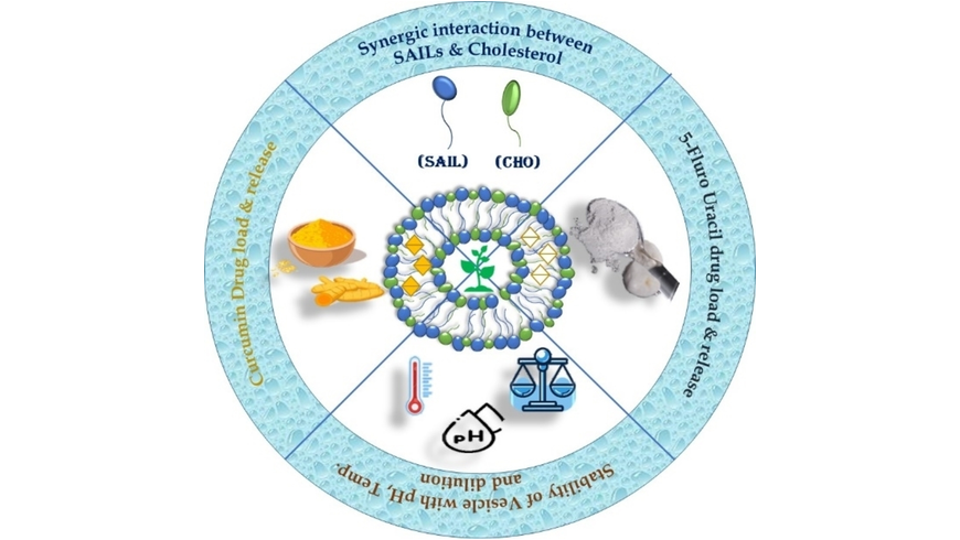 Cholesterol Mediated Stable Vesicles: A Nano Drug Delivery Vehicle for Anti-cancer Drugs Curcumin and 5-Fluorourecil (Malek) @navedmalek onlinelibrary.wiley.com/doi/10.1002/sl…