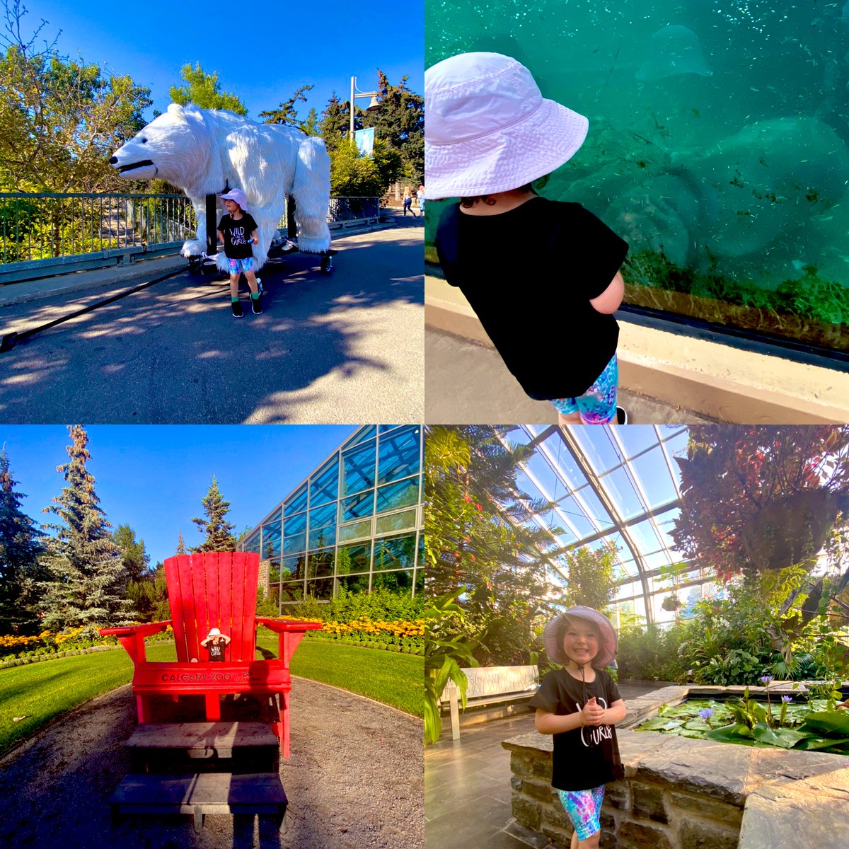 maryse_daze's tweet photo. Great #ZooNight with my girl and perfect weather! Thanks @calgaryzoo for such a wonderful time #membersforlife https://t.co/9qypbWbYtB